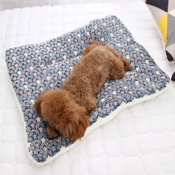 Coussin pour Chat & Chien - Confort Absolu - COUSSIN LAB