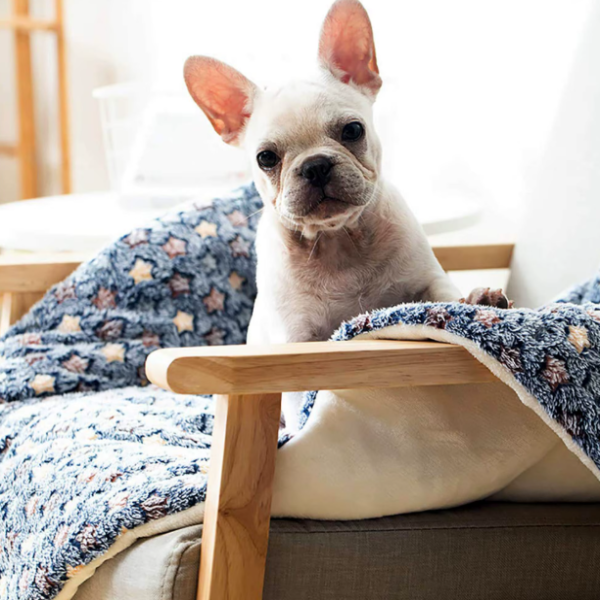 Coussin pour Chat & Chien - Confort Absolu