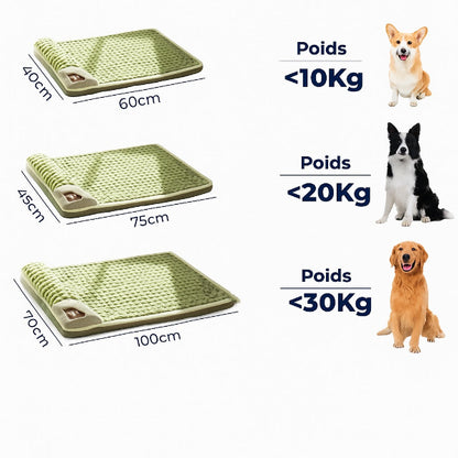 Coussin pour Chien – Apaisant & Anti-Stress