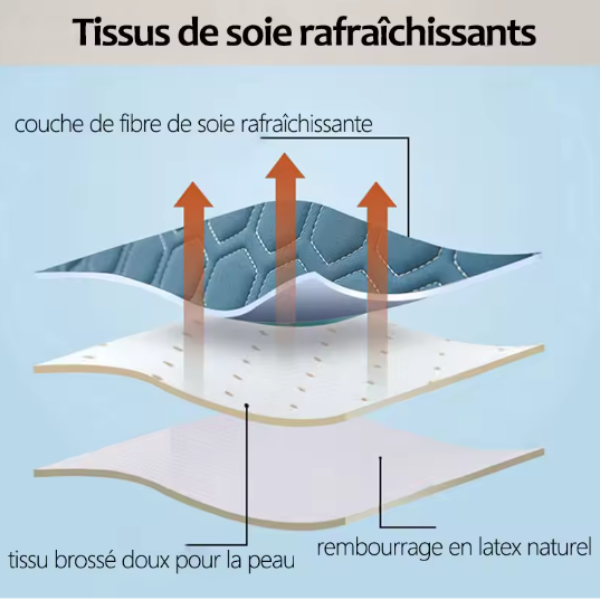 Coussin de Lecture en Latex – Maintien Optimal & Relaxation Totale - COUSSIN LAB