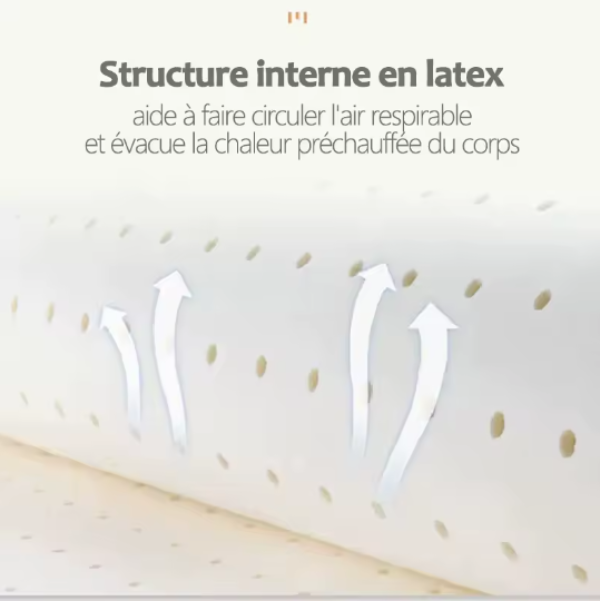 Coussin de Lecture en Latex – Maintien Optimal & Relaxation Totale - COUSSIN LAB