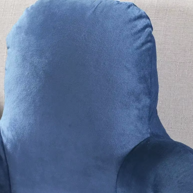 Coussin de Lecture Ergonomique en Velours