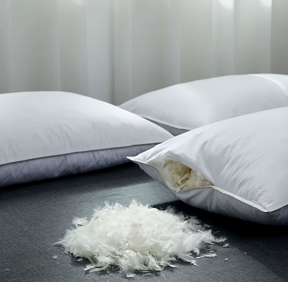 Oreiller en Plumes d’Oie 100 % – Confort Hôtel 5 Étoiles & Soutien Cervical - COUSSIN LAB