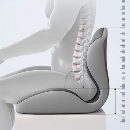 Coussin Ergonomique à Mémoire de Forme – Soutien Coccyx & Lombaires - COUSSIN LAB