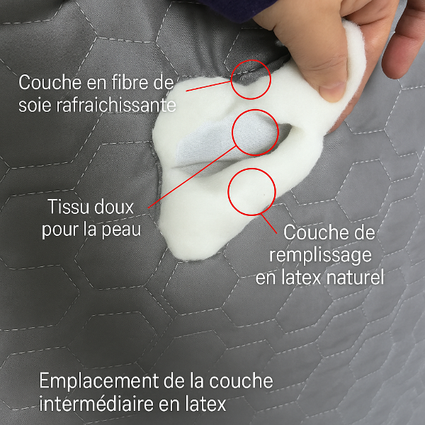 Coussin de Lecture Triangulaire – Grand Cale-Dos en Latex Rafraîchissant - COUSSIN LAB