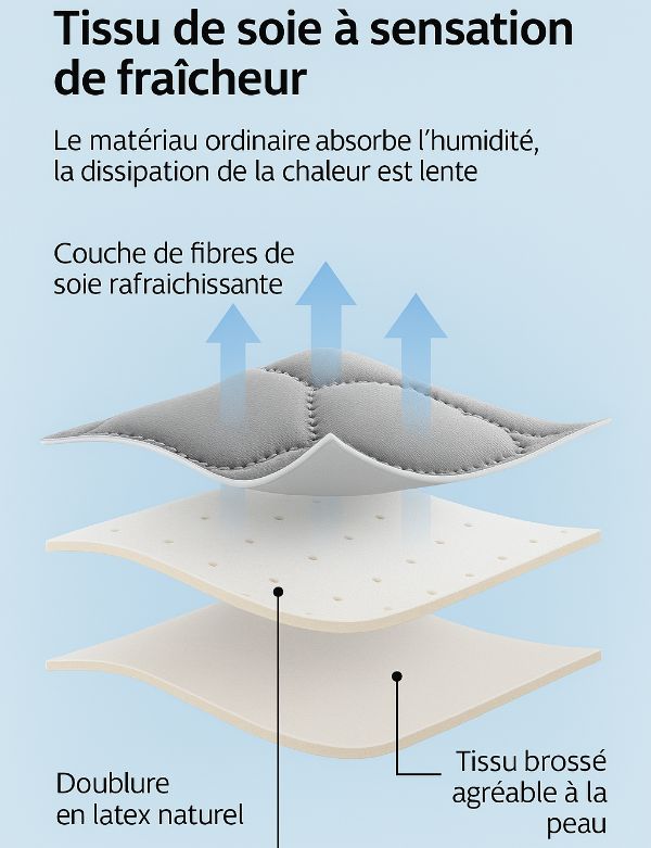 Coussin de Lecture Triangulaire – Grand Cale-Dos en Latex Rafraîchissant - COUSSIN LAB