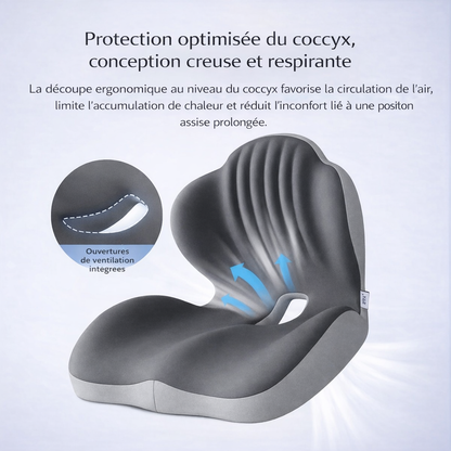 Coussin Ergonomique à Mémoire de Forme – Soutien Coccyx & Lombaires - COUSSIN LAB