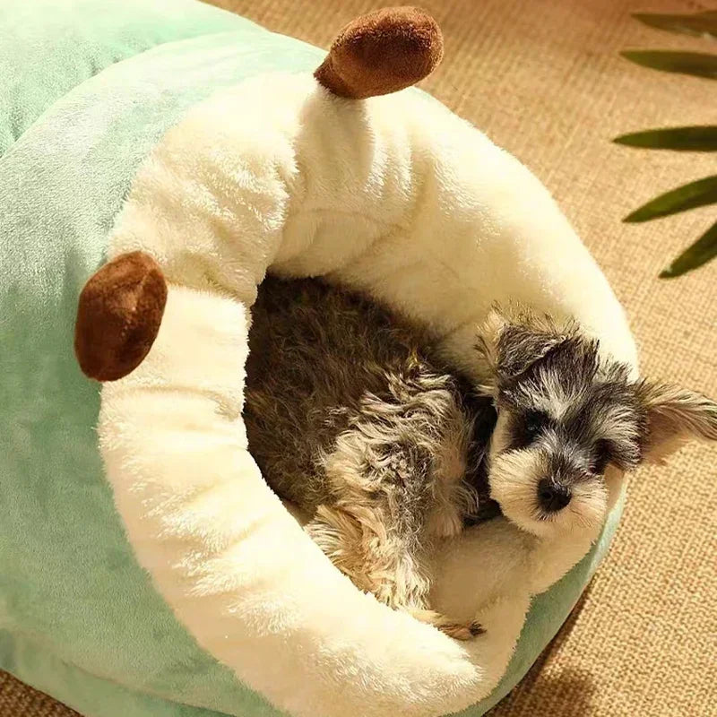 Coussin pour Chien & Chat - Pantoufle Douillette